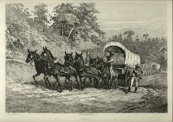 The Supply Train